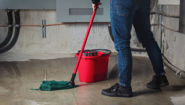 Best Flooded house restoration  in Liberty, MO