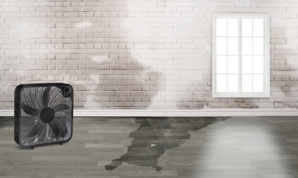 Best Water damage restoration cost  in Liberty, MO