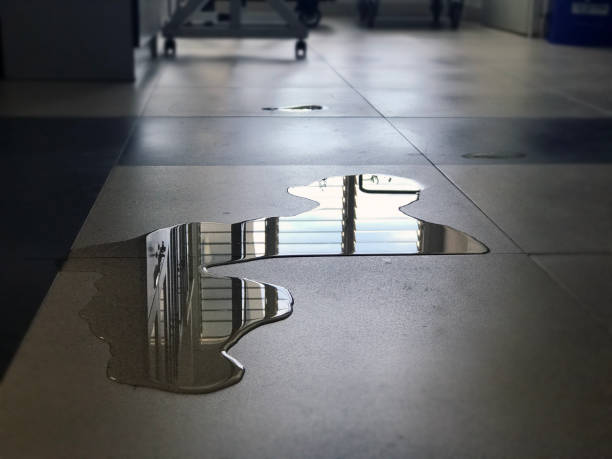 Reliable MO Water damage restoration Solutions