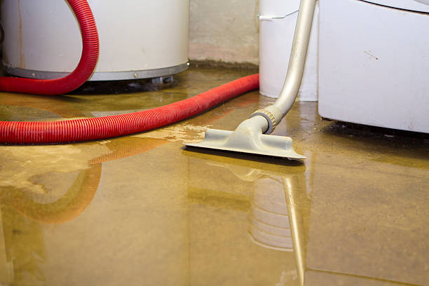 Best Fire Damage Restoration  in Liberty, MO