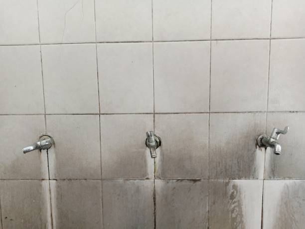 Best Flood damage cleanup  in Liberty, MO