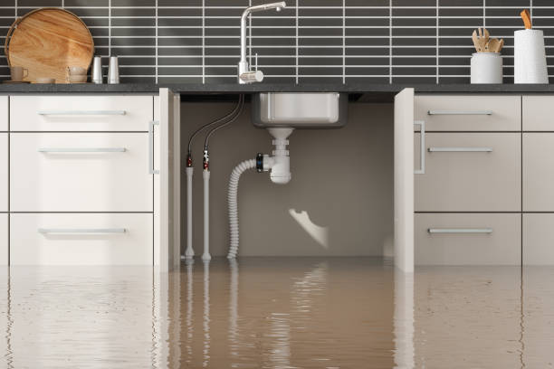 Best Water damage cleanup near me  in Liberty, MO